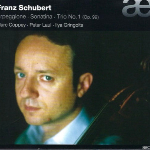 IG Schubert 2010