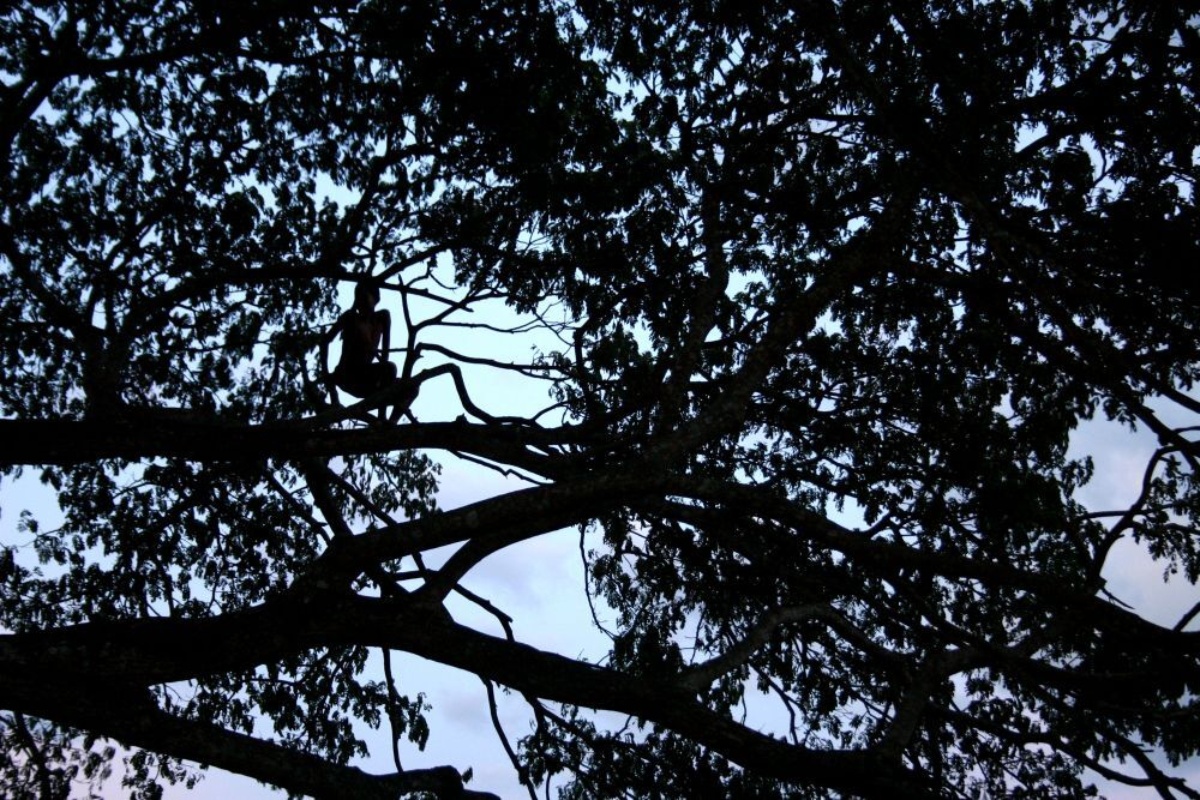 Darkness and light 01 CR Lynette Wallworth